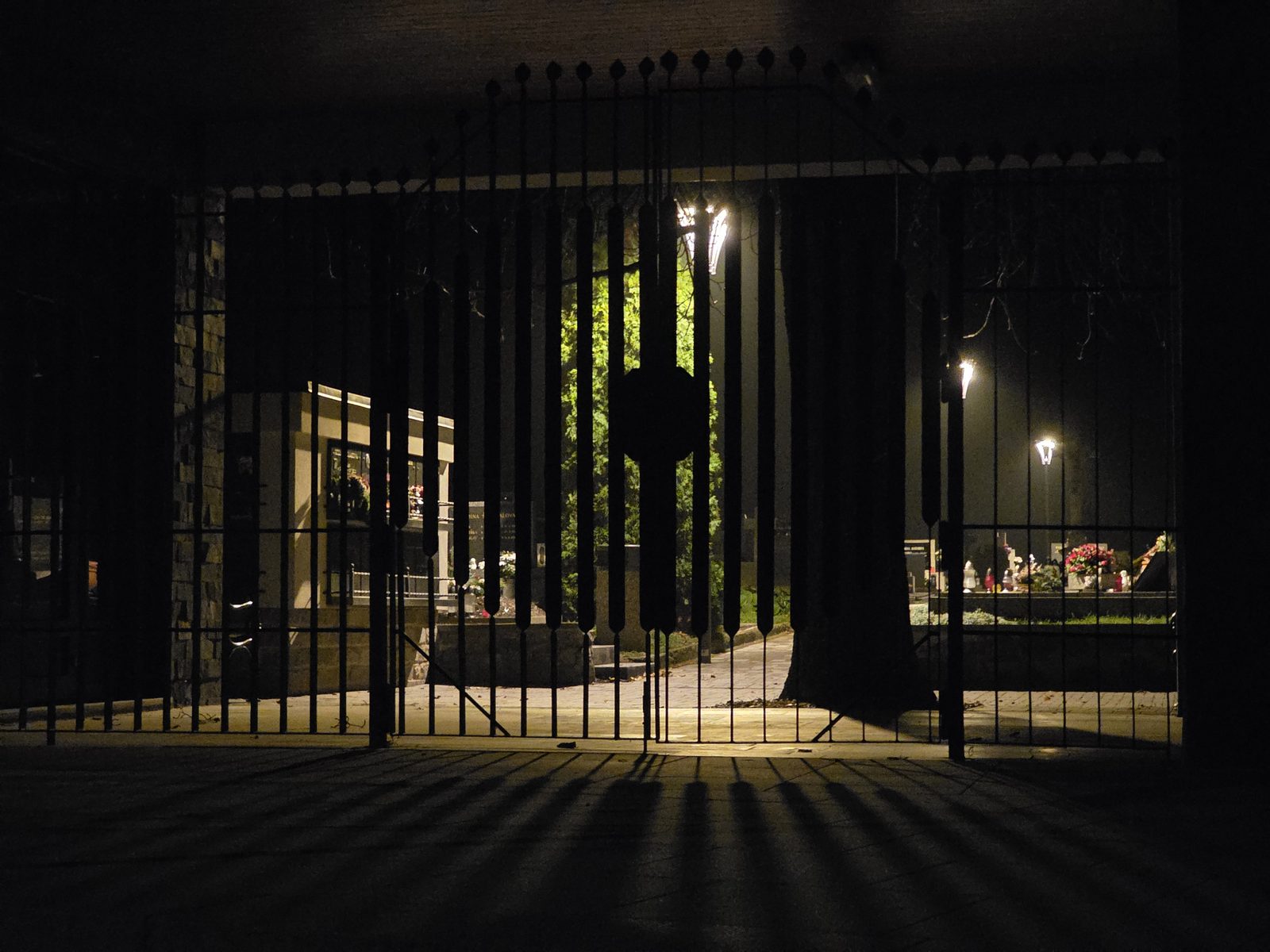 Brána křídlovického hřbitova, noční pohled, lampa zezadu prosvětluje listí.
